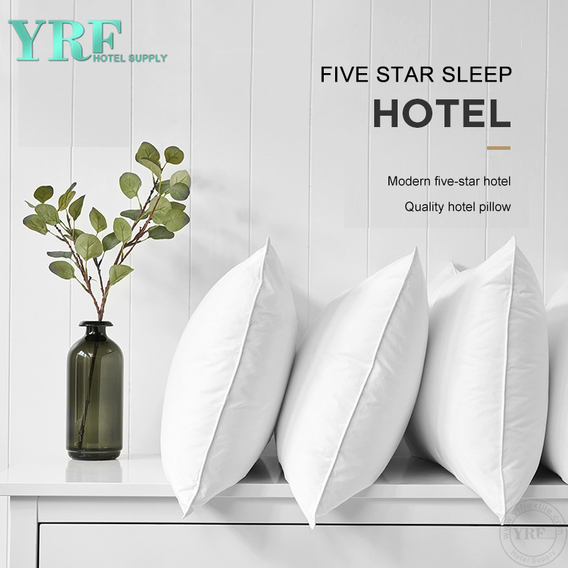 Partitioned Comfort White Sleep Down Pillows