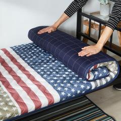 Apartament z rozkładaną sofą i roztoczami